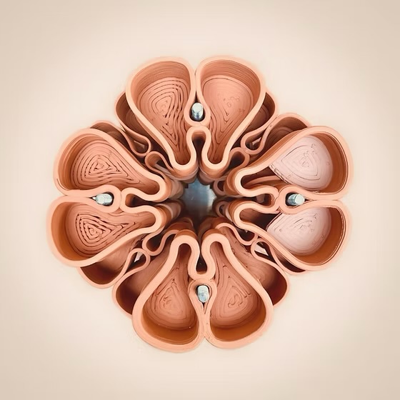 Pillars of Hope — modular 3D-printed clay rosette by Jef Van Weyenberg